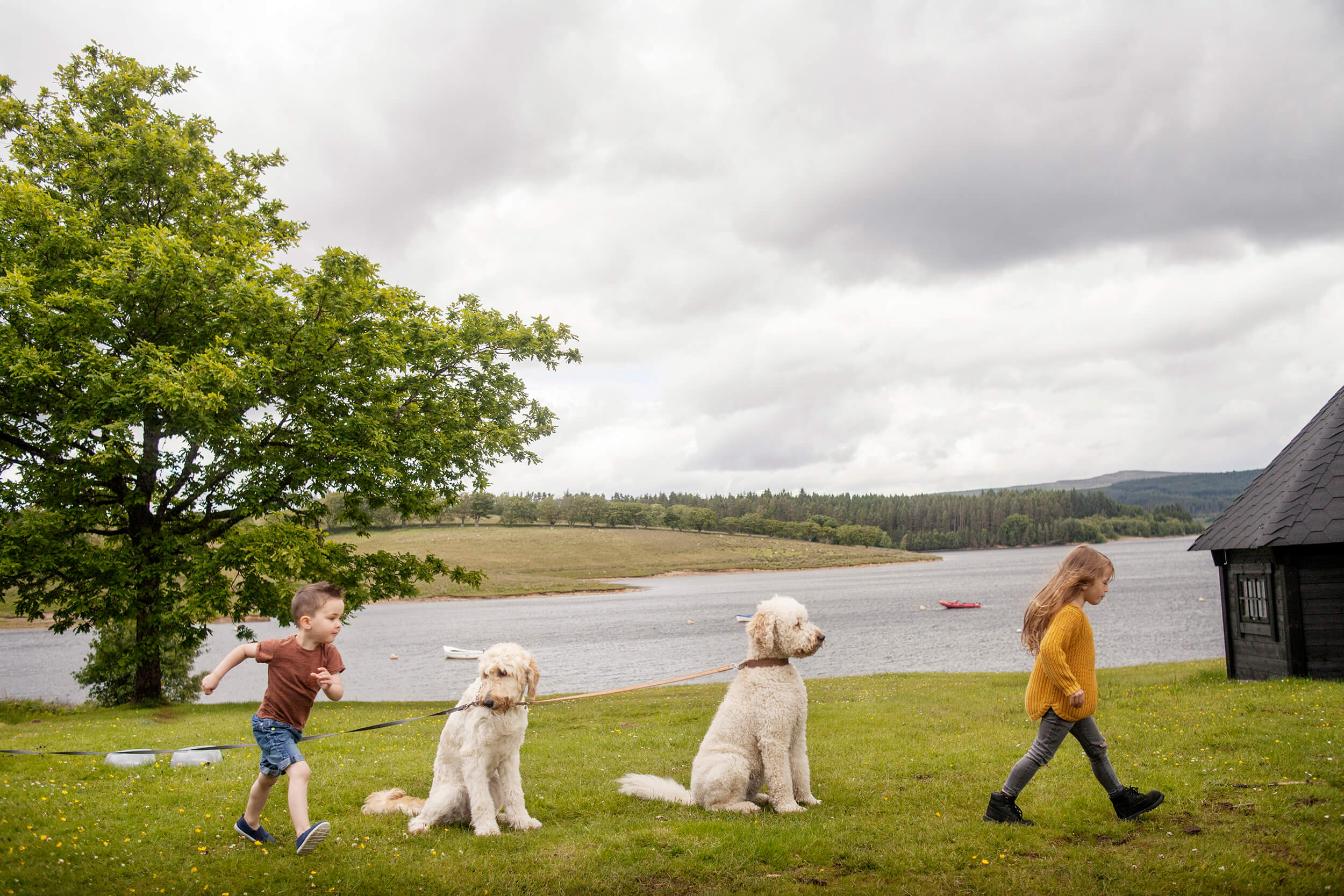 Two young children and two large labradoodles in a line in front of the Kielder Waterside reservoir