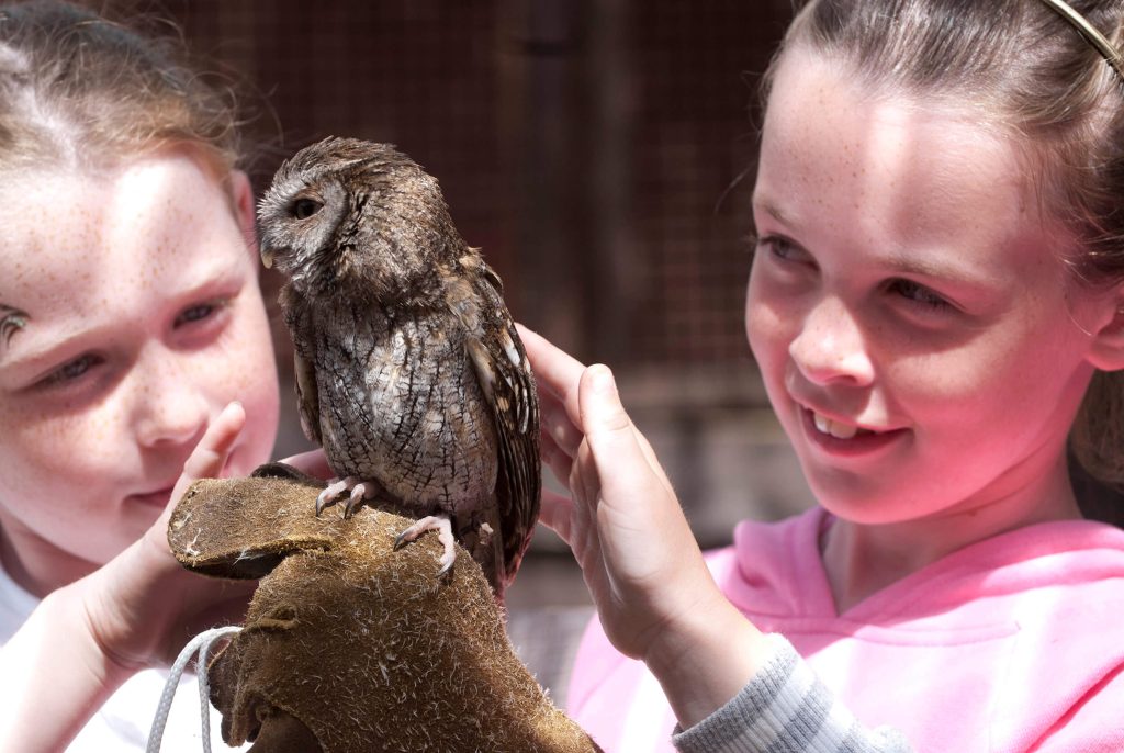 Birds of Prey at Kielder Waterside. Two girls holding an owl and petting it.