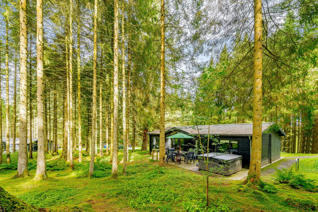 Birch Premier Spa. Single story lodge surrounded by forest