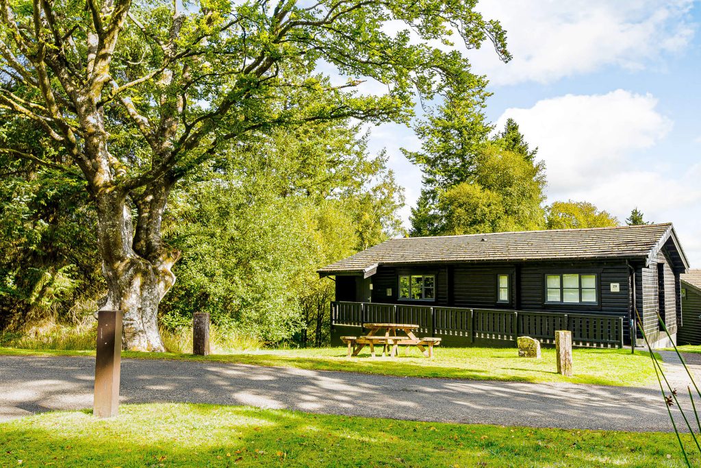 Lewisburn Spa at Kielder Waterside. View of the single story lodge from the front surrounded by trees.