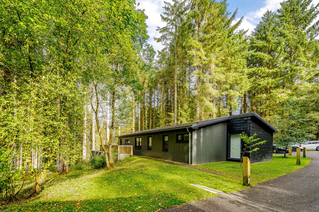 Willow Platinum Swim at Kielder Waterside. The single story lodge nestled within the Kielder forest.