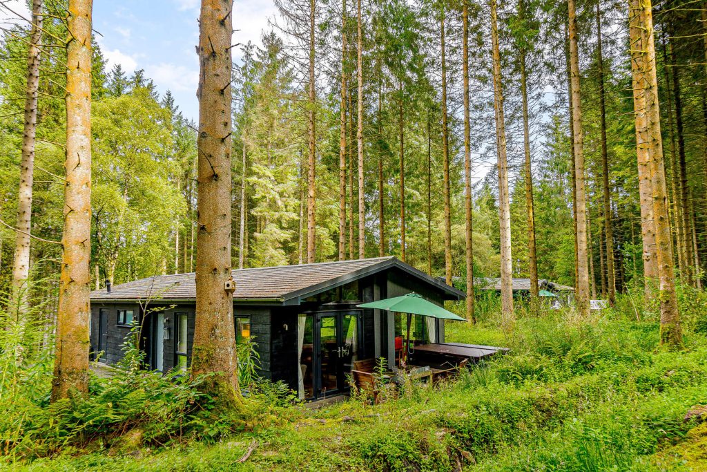 Willow Premier Spa at Kielder Waterside. The luxurious lodge is nestled between the trees.