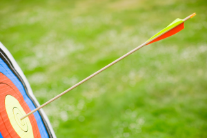 Archery at Kielder Waterside. Arrow in the bullseye