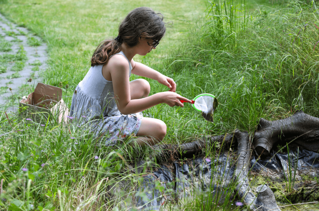 Pond dipping at Kielder Waterside