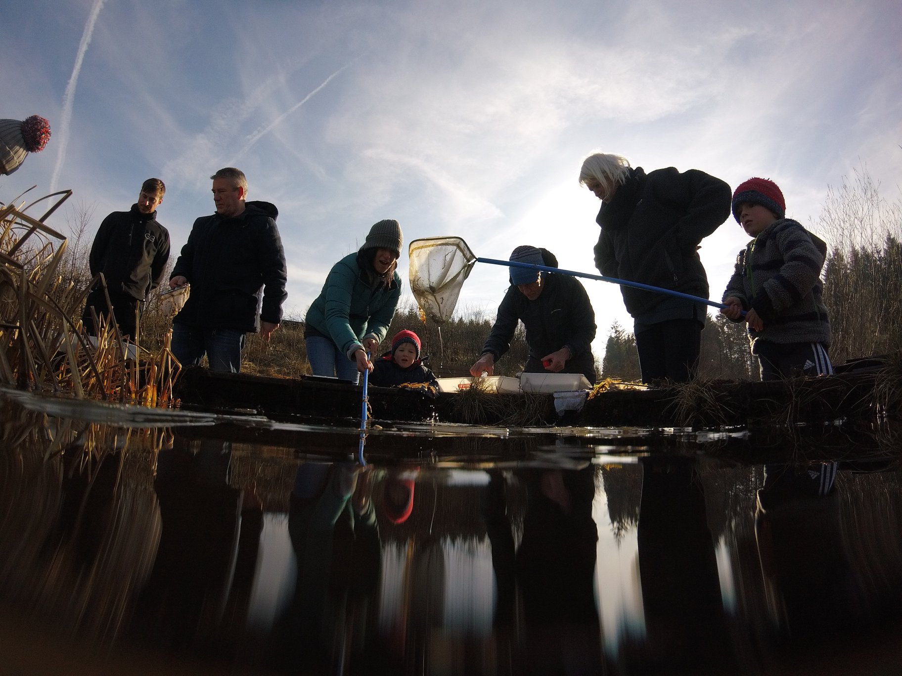 Pond Dipping at Kielder Waterside